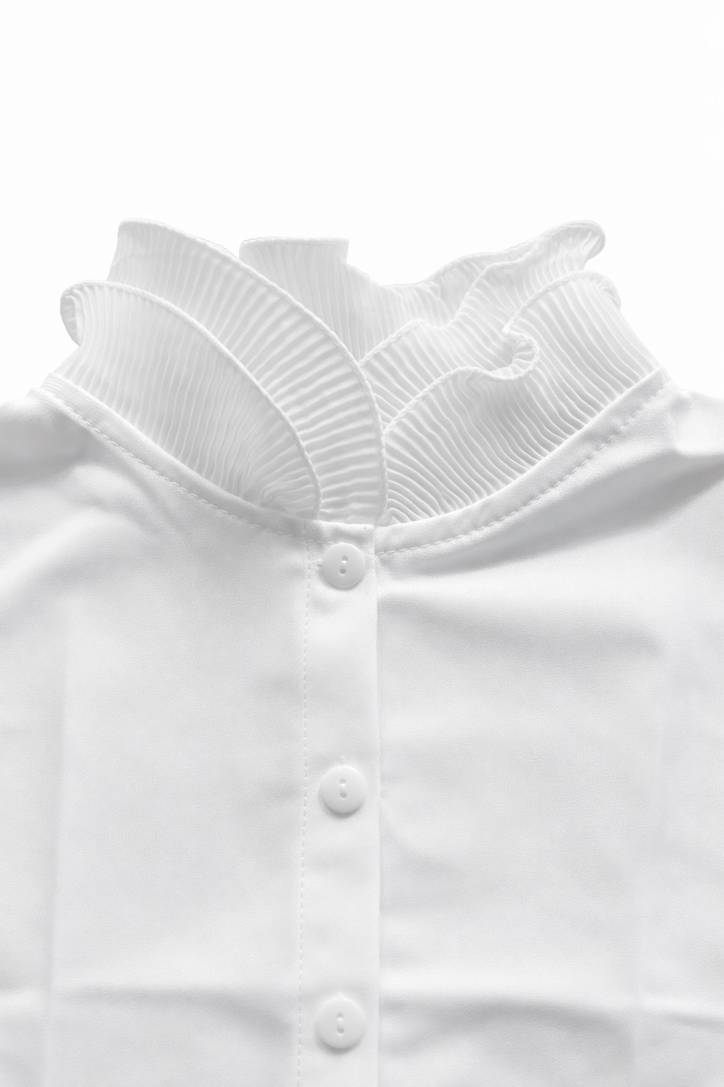 Dik Yaka Kuğu Yakalık