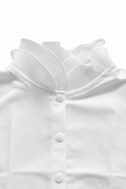 Dik Yaka Kuğu Yakalık