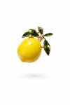 Golden Lemon Broş